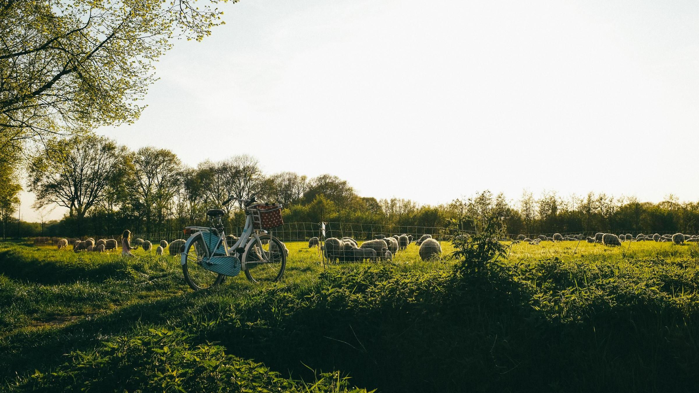 Fahrrad-Special Het Groene Hart